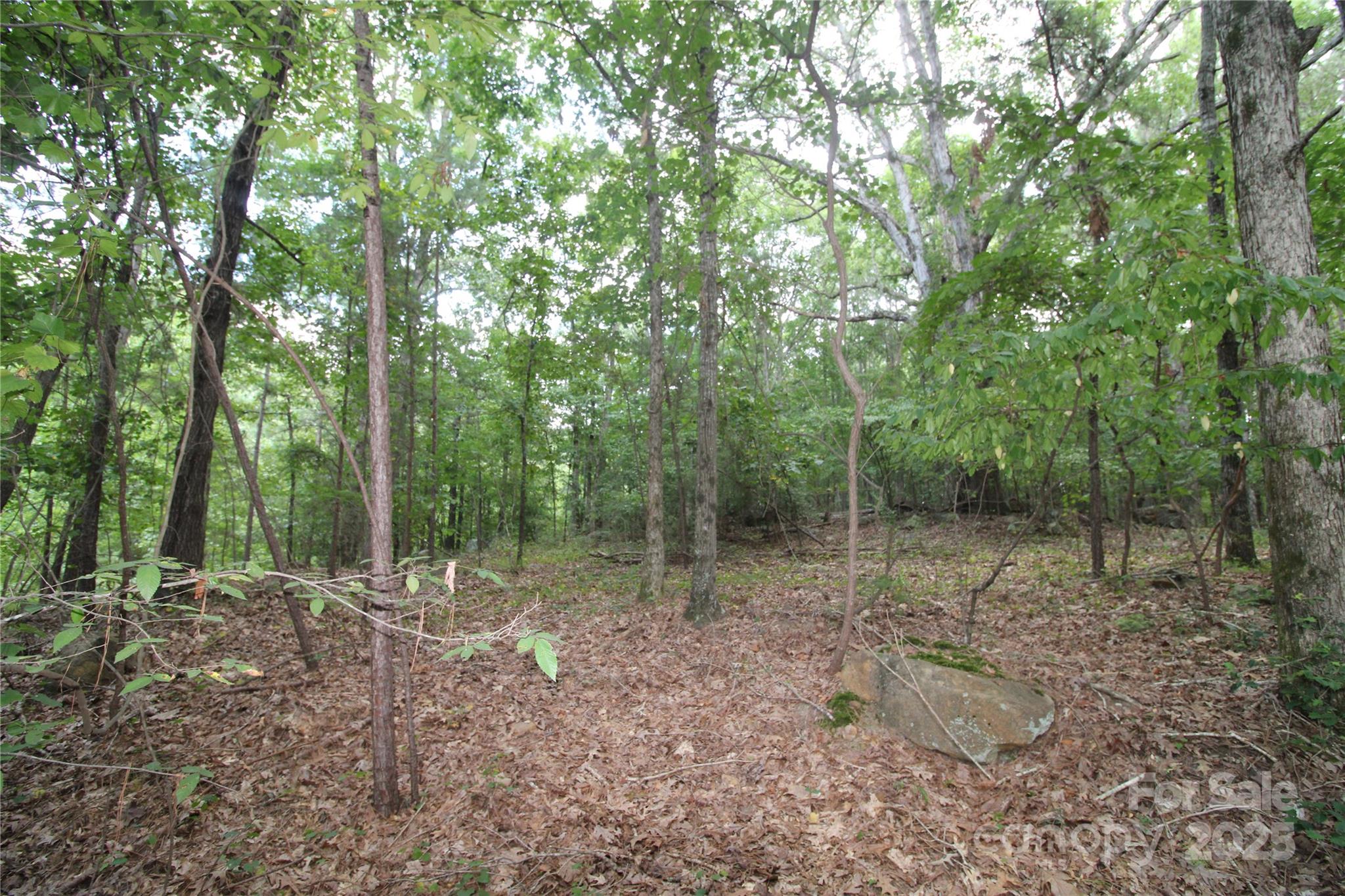 Lot 3 Lake Wylie Drive