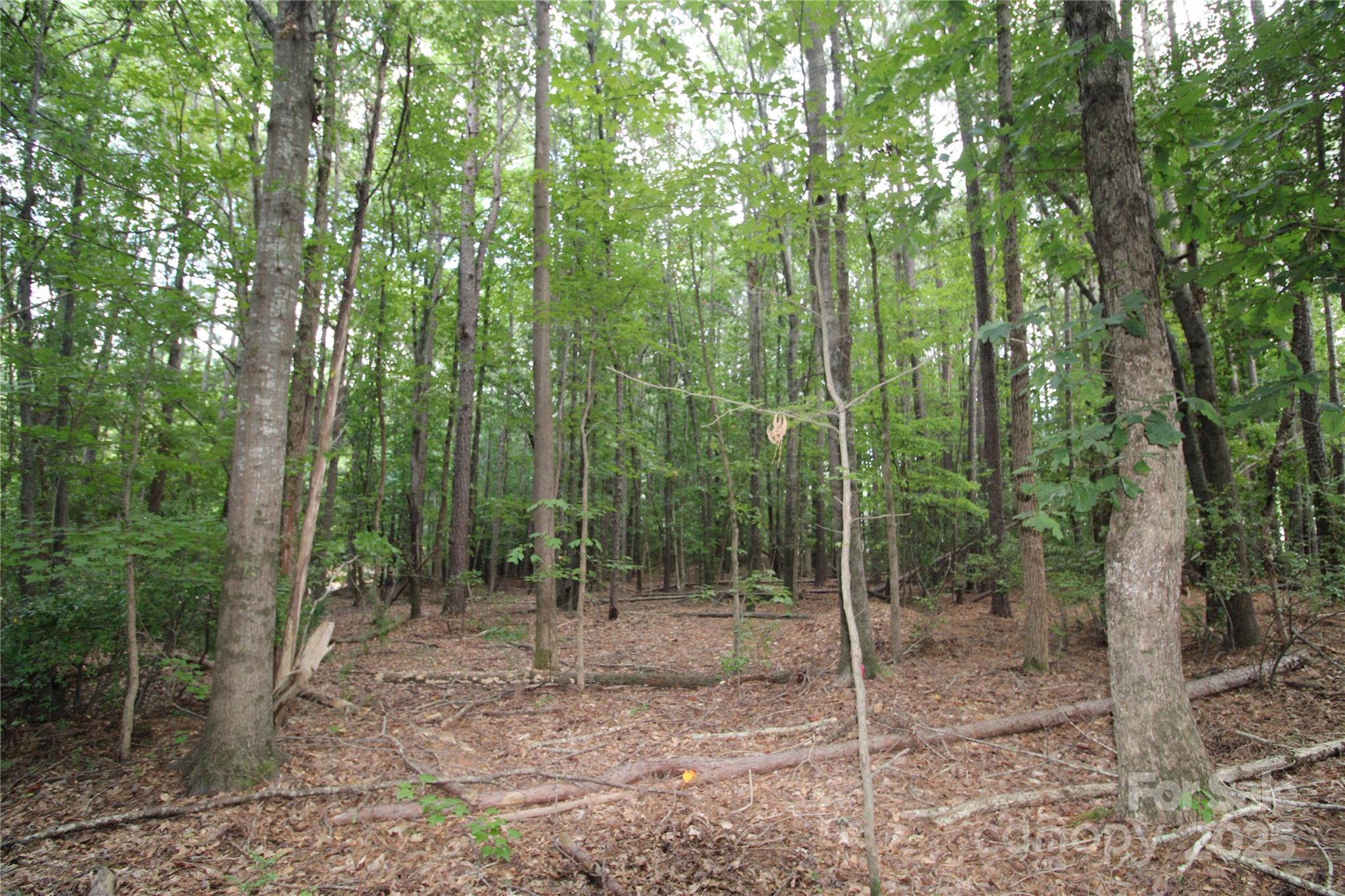 Lot 4 Lake Wylie Drive
