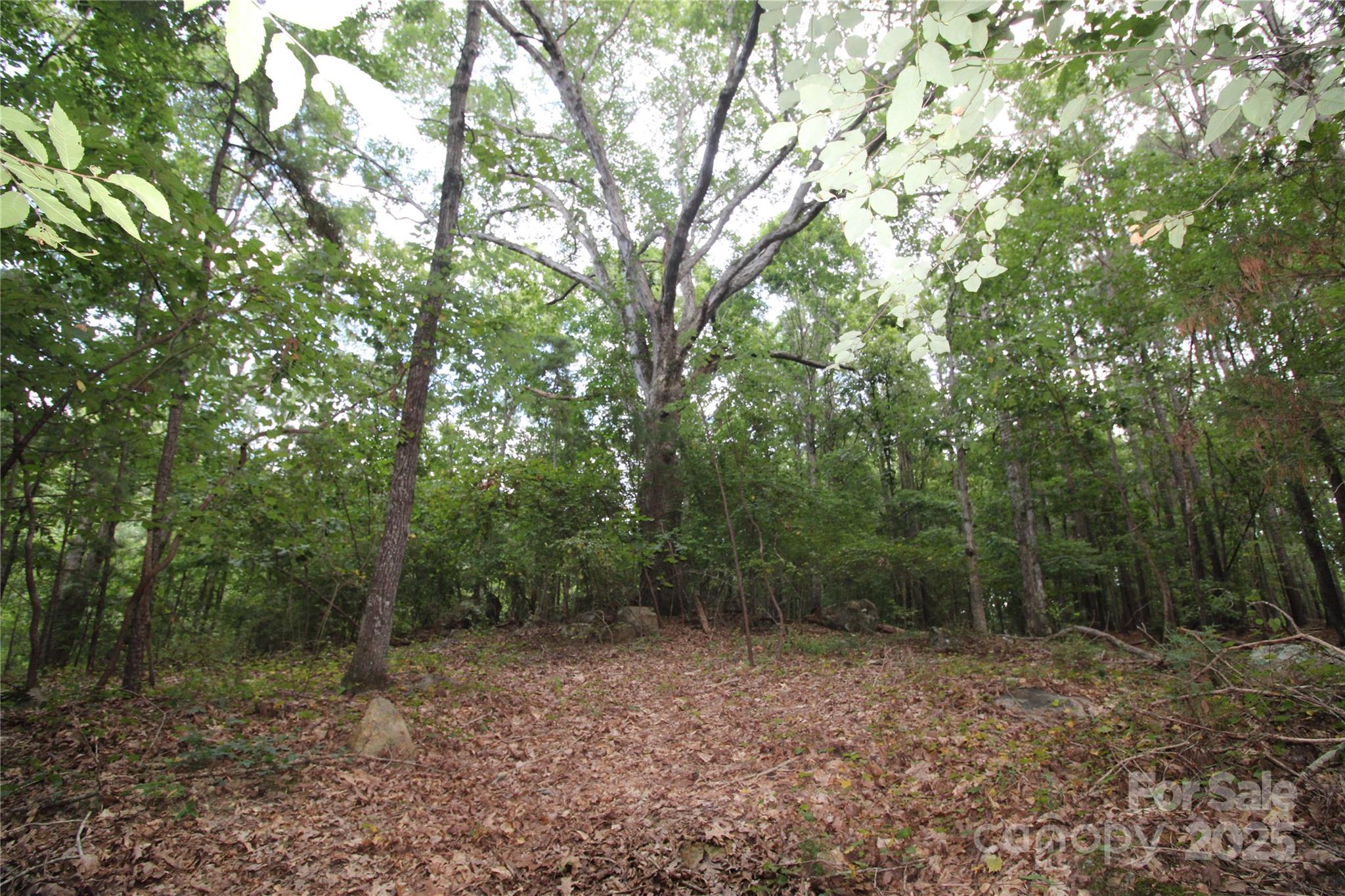 Lot 5 Lake Wylie Drive