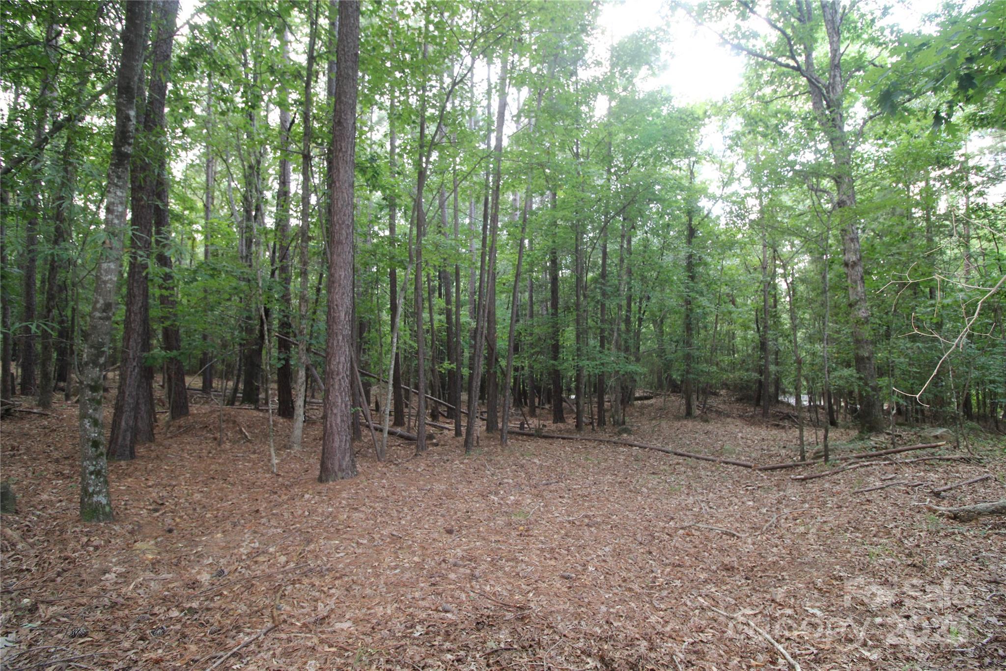 Lot 6 Lake Wylie Drive