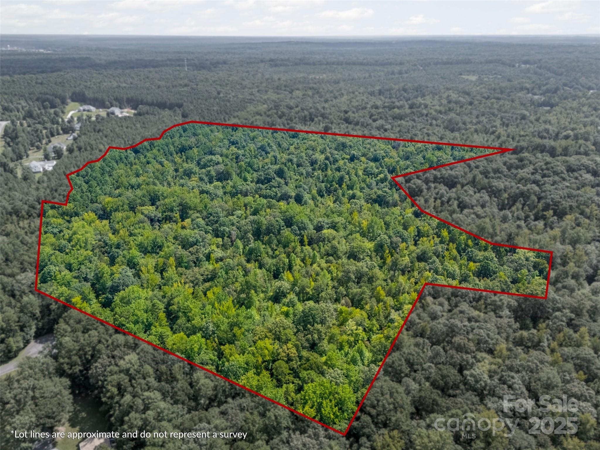 57 Acres Woodstock Drive