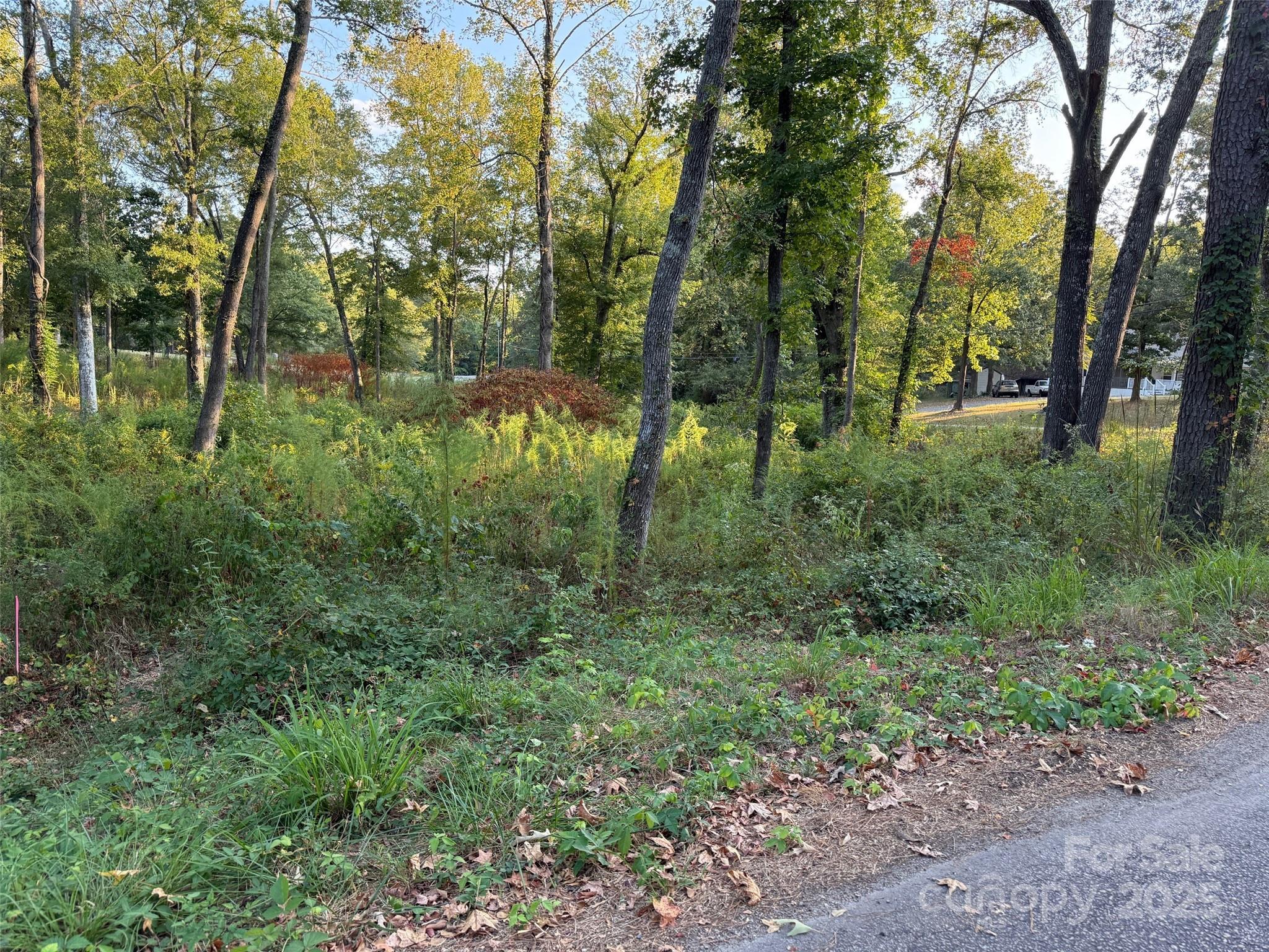 00 Whispering Pines Drive Unit: 31