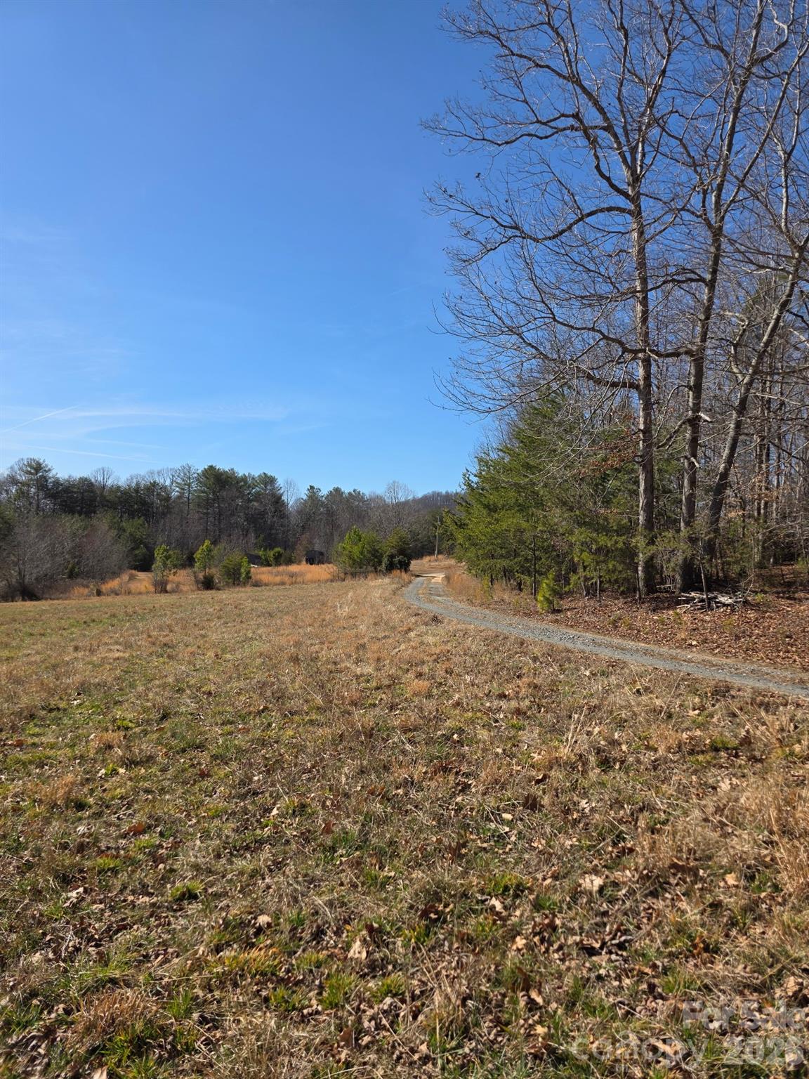 Open grassy field with a curving gravel drive, framed by bare trees and evergreens.
