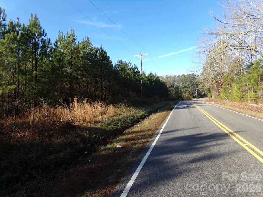 Two-lane country road winding between pine trees and leafless woods.