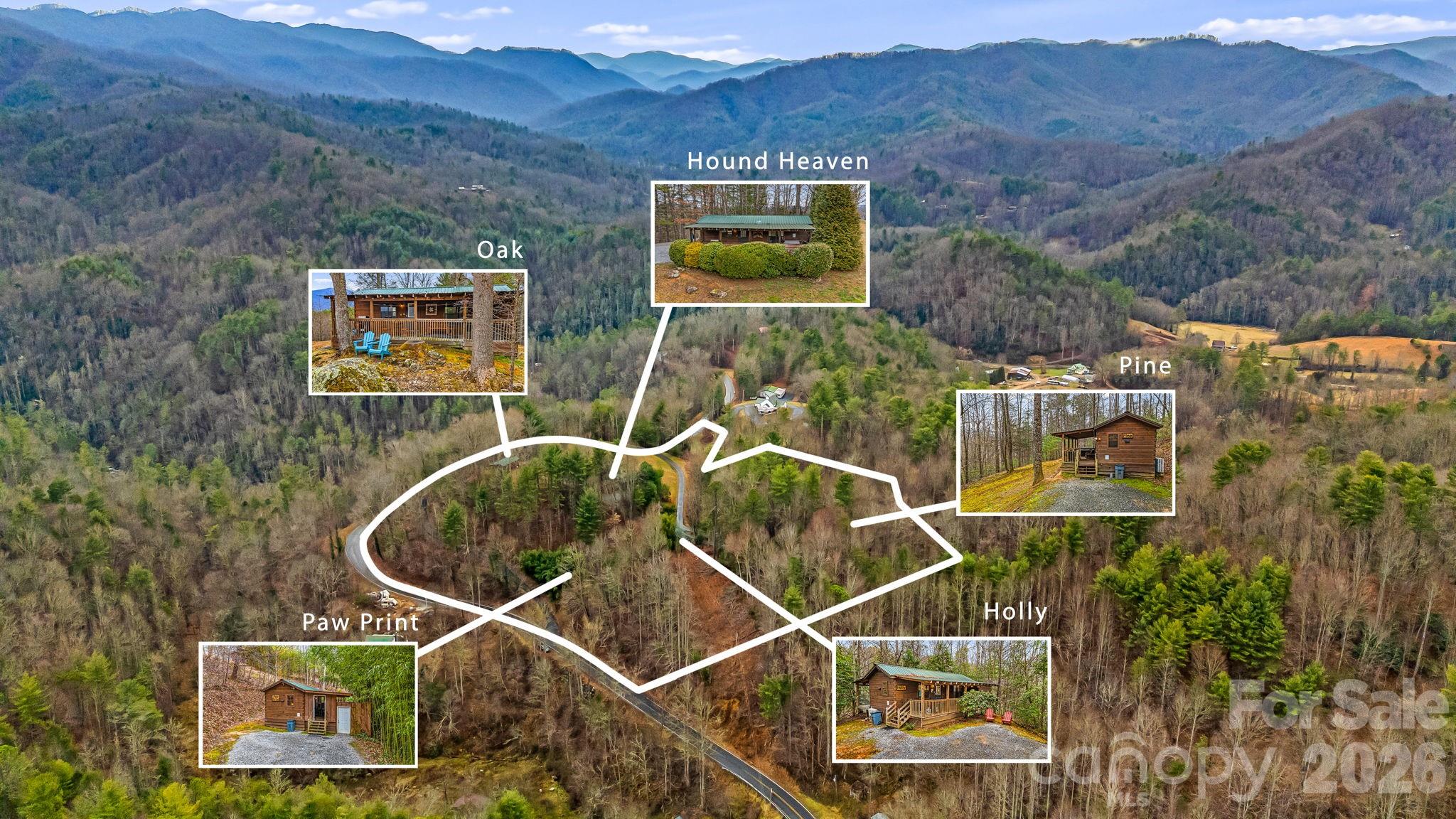 Aerial neighborhood map marking five wooded cabin areas in a mountain valley.