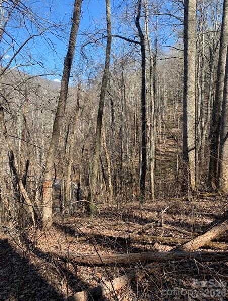 Lot 3 Cedar Mountain Road Unit: 3