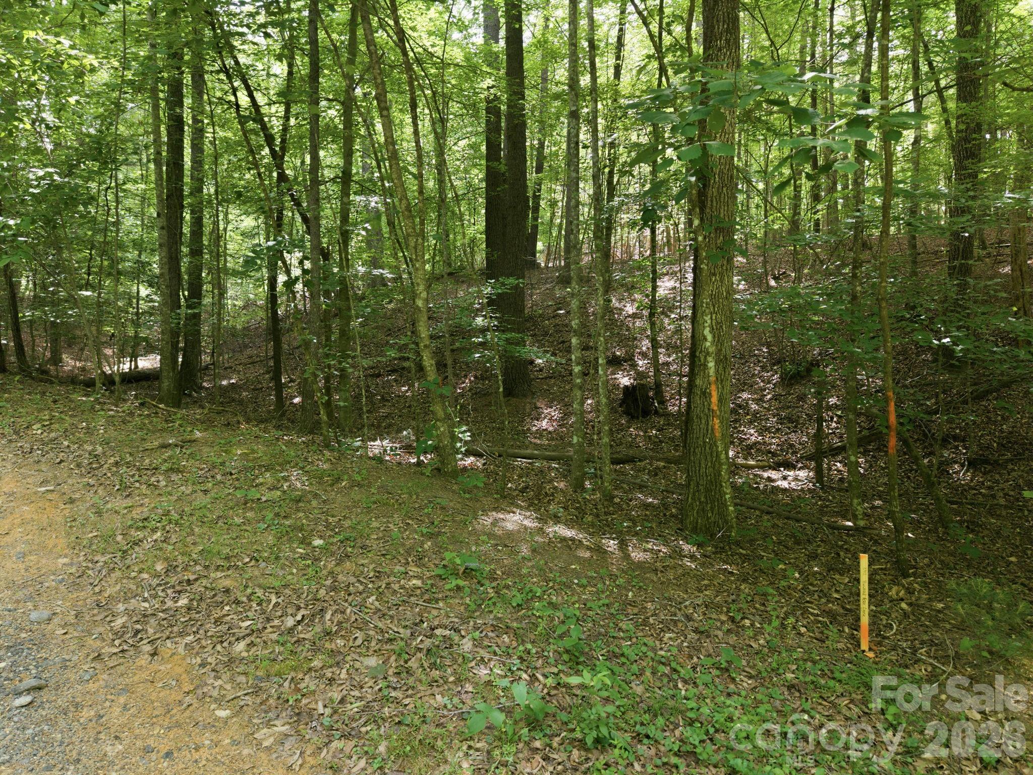 Wooded hillside lot with a gravel path and orange survey stake.