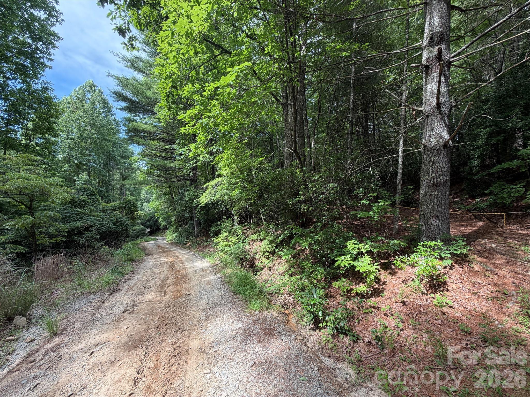 151 Katydid Lane