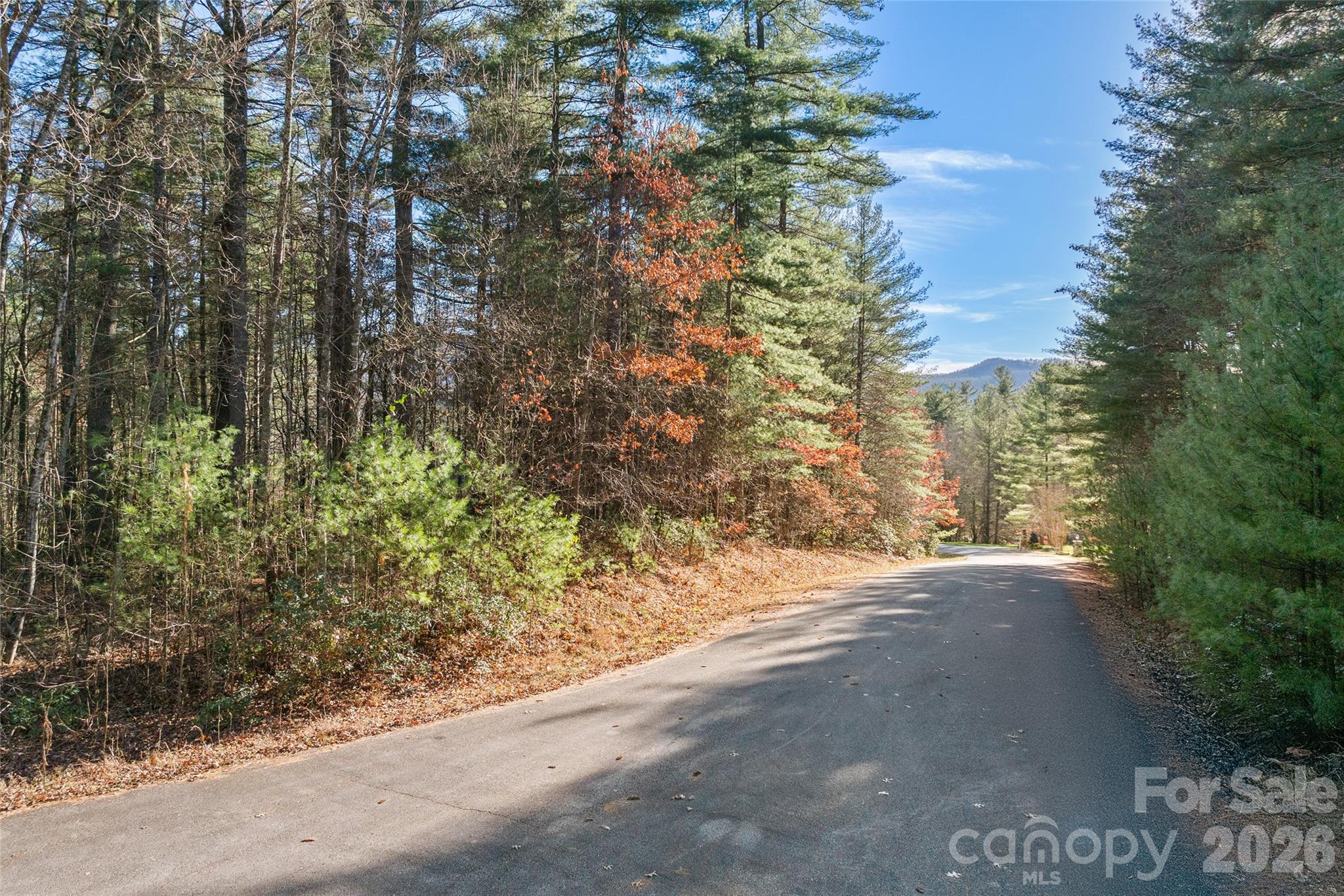 0 Daylily Drive Unit: Lot 20