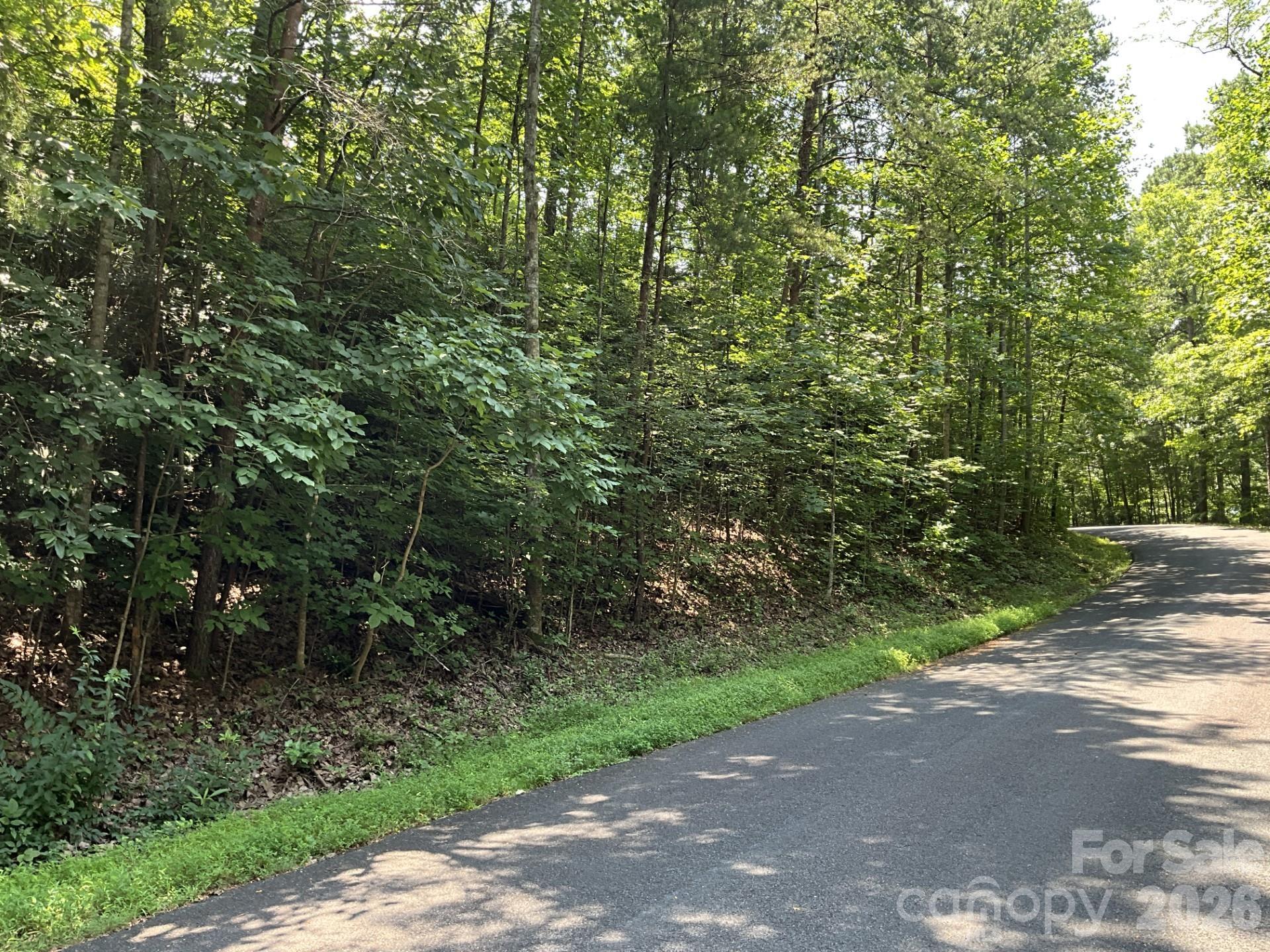 Lot 77 Winesap Boulevard