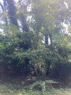 99999 Old Haw Creek Road Unit: Lot 1