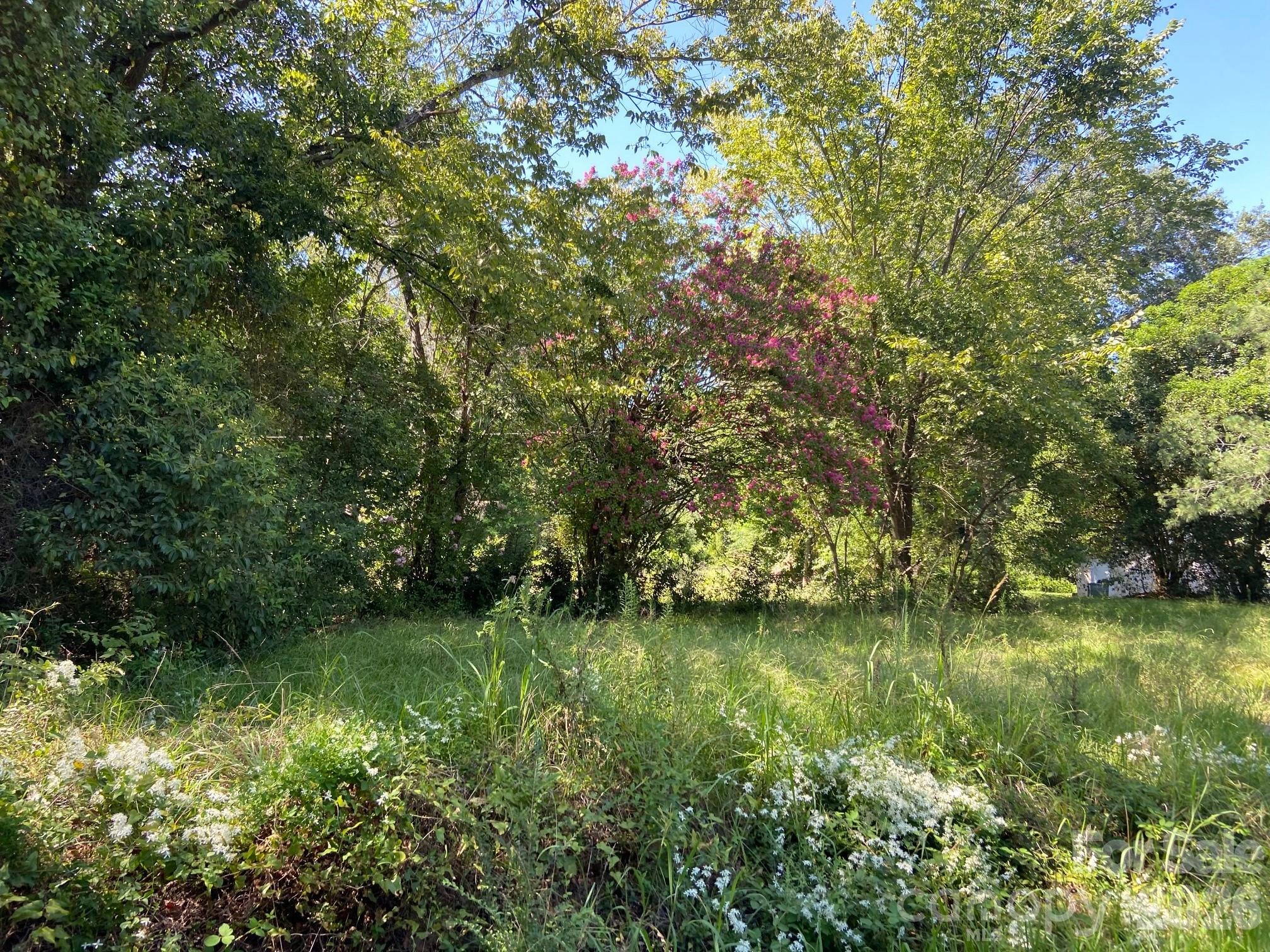 145 Neely Store Road