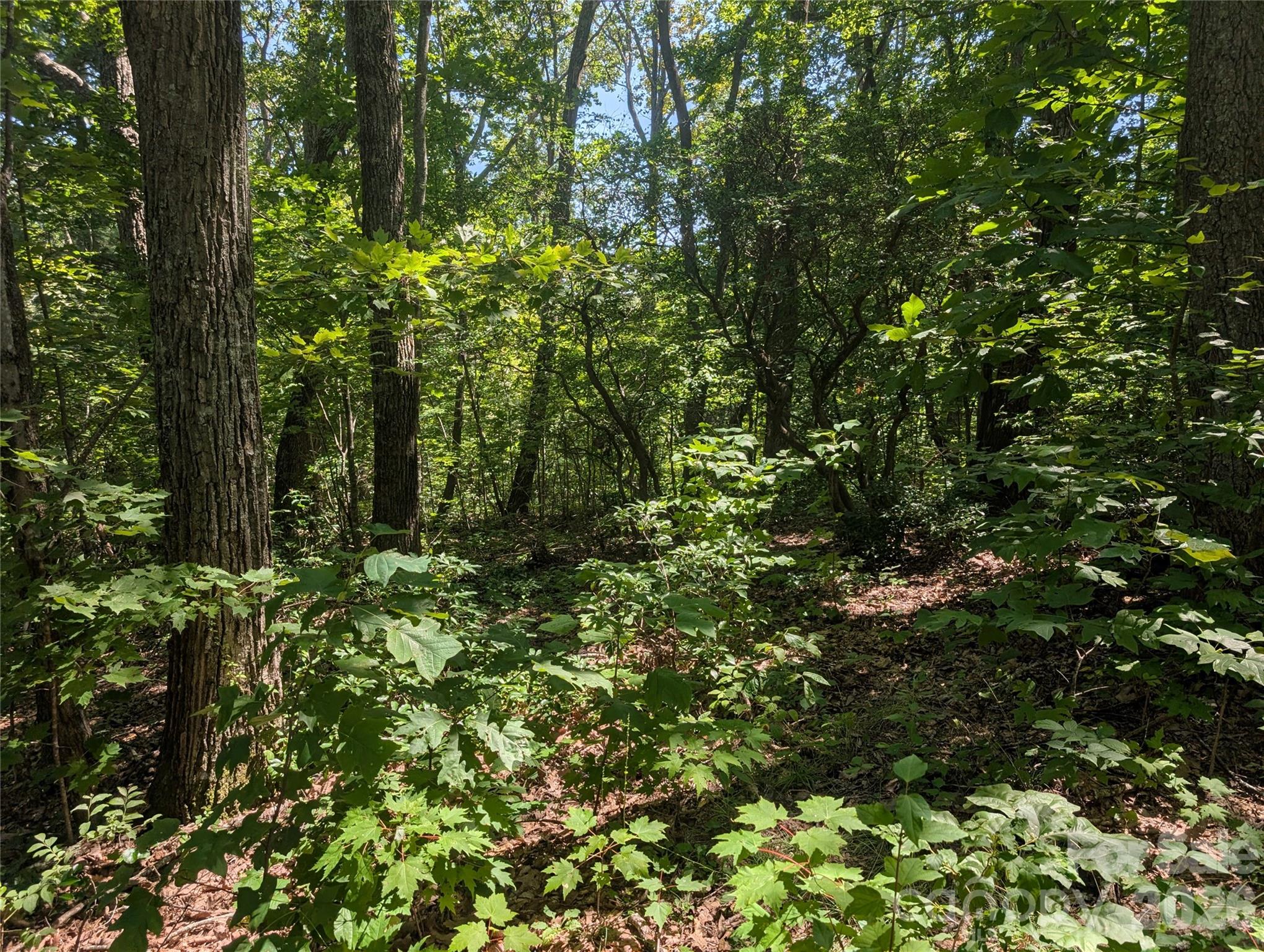 1824 Old Mill Road