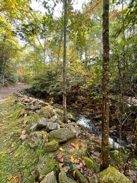 724 Blackgum Court Unit: #350