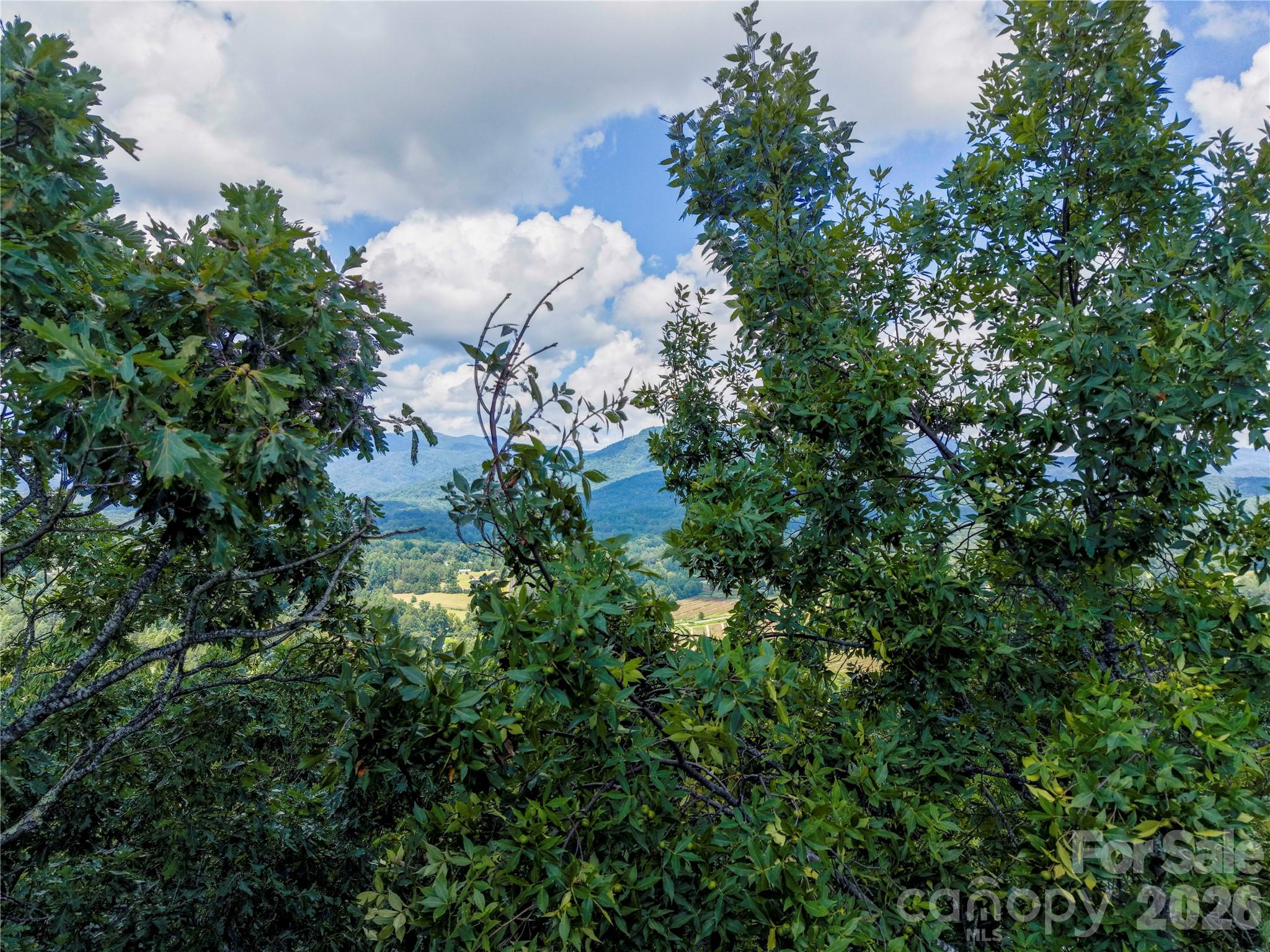 0 High Pines Loop Unit: 139
