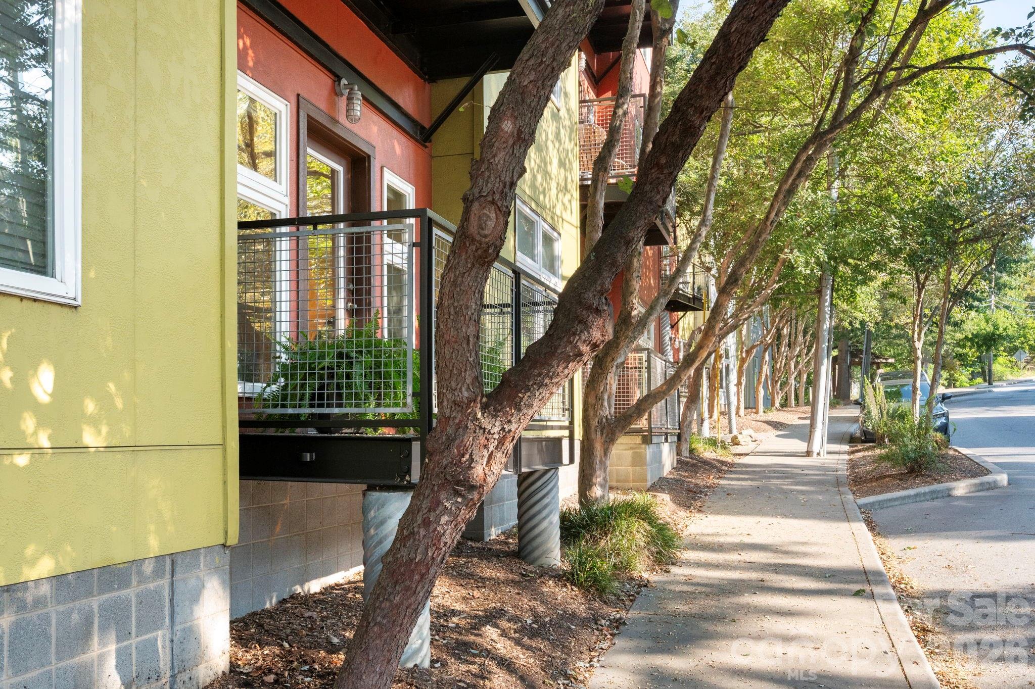 125 Clingman Avenue Unit: 103