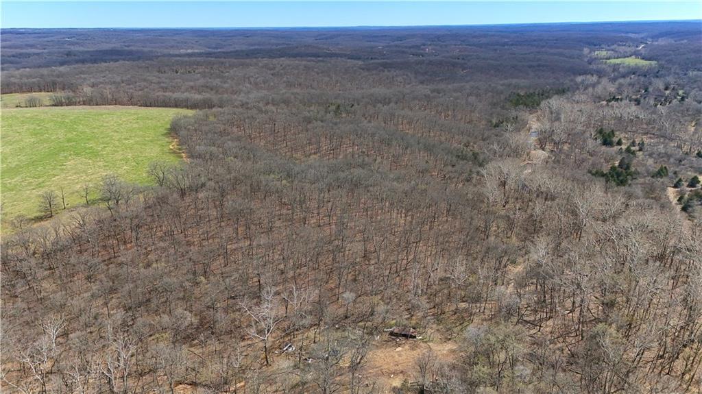 Aerial view of rolling countryside with leafless woodland and a green field.