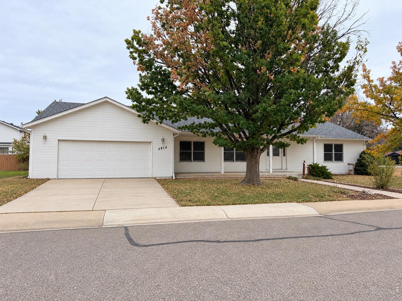 Single-story white house with an attached garage, driveway, and large tree in front.