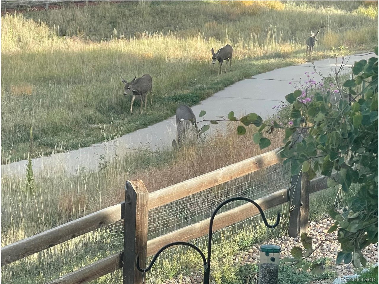 3303 Starry Night Loop