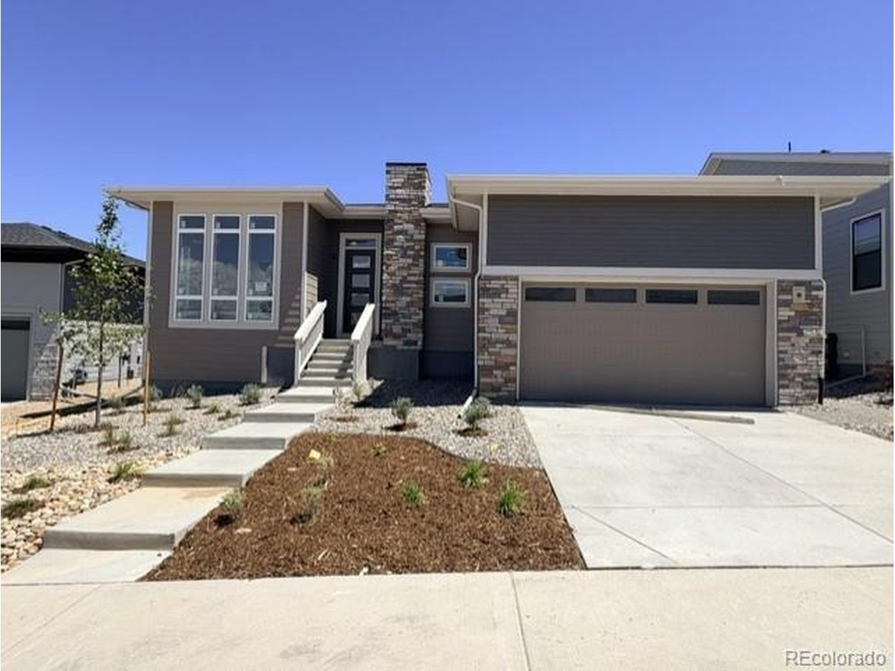 414 Leafy Aster Ln