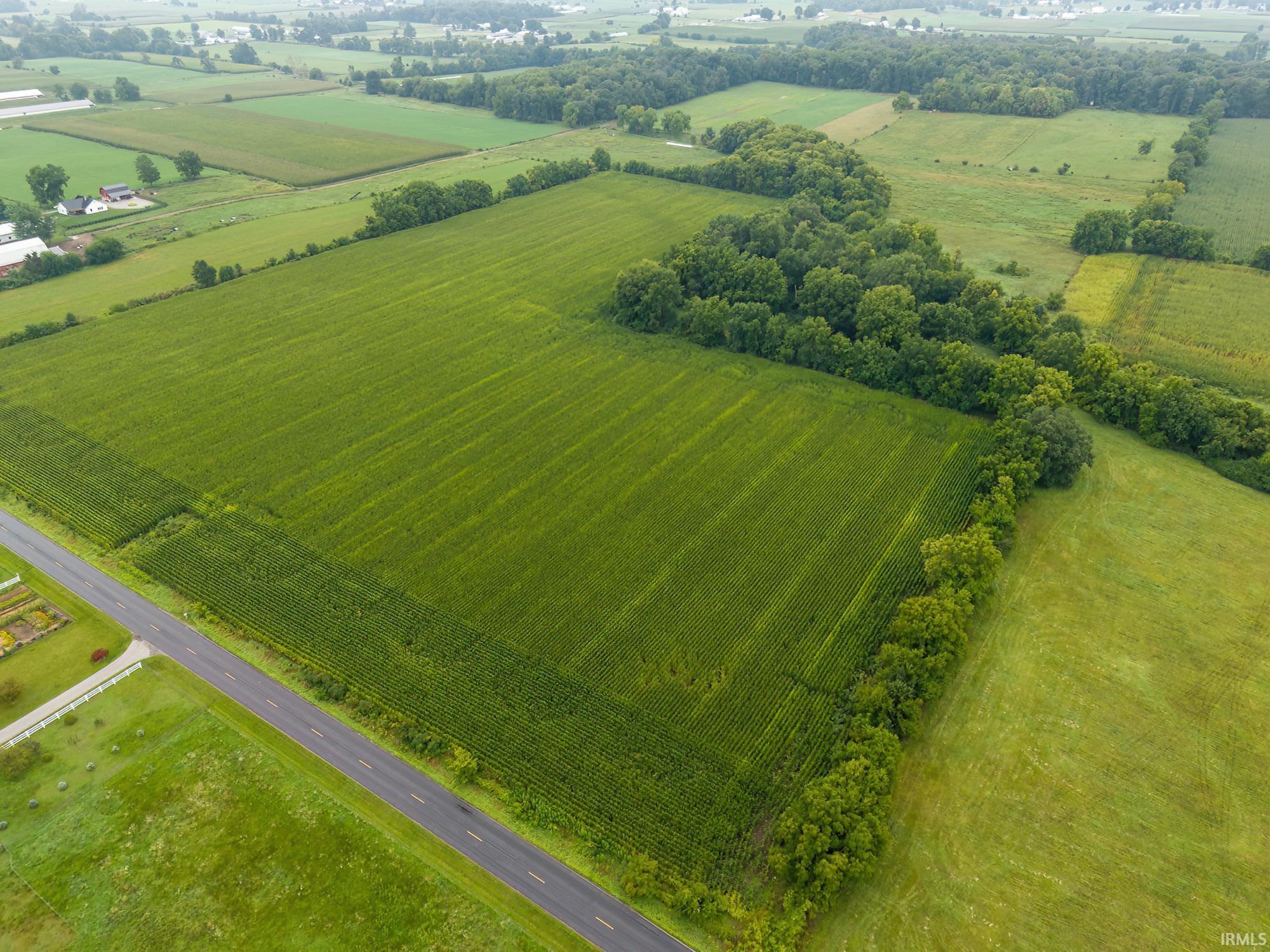 Aerial view of green crop fields divided by tree lines, with a road and scattered farm buildings.