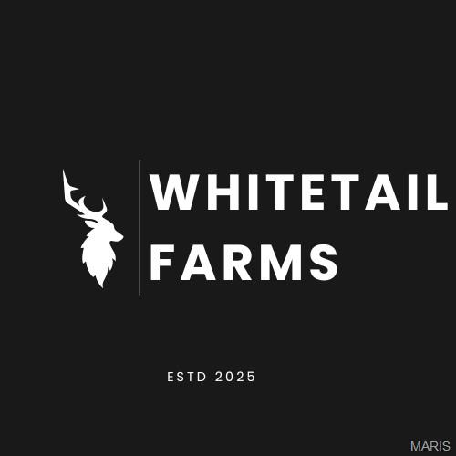 998 Josephville Lot 3 Road