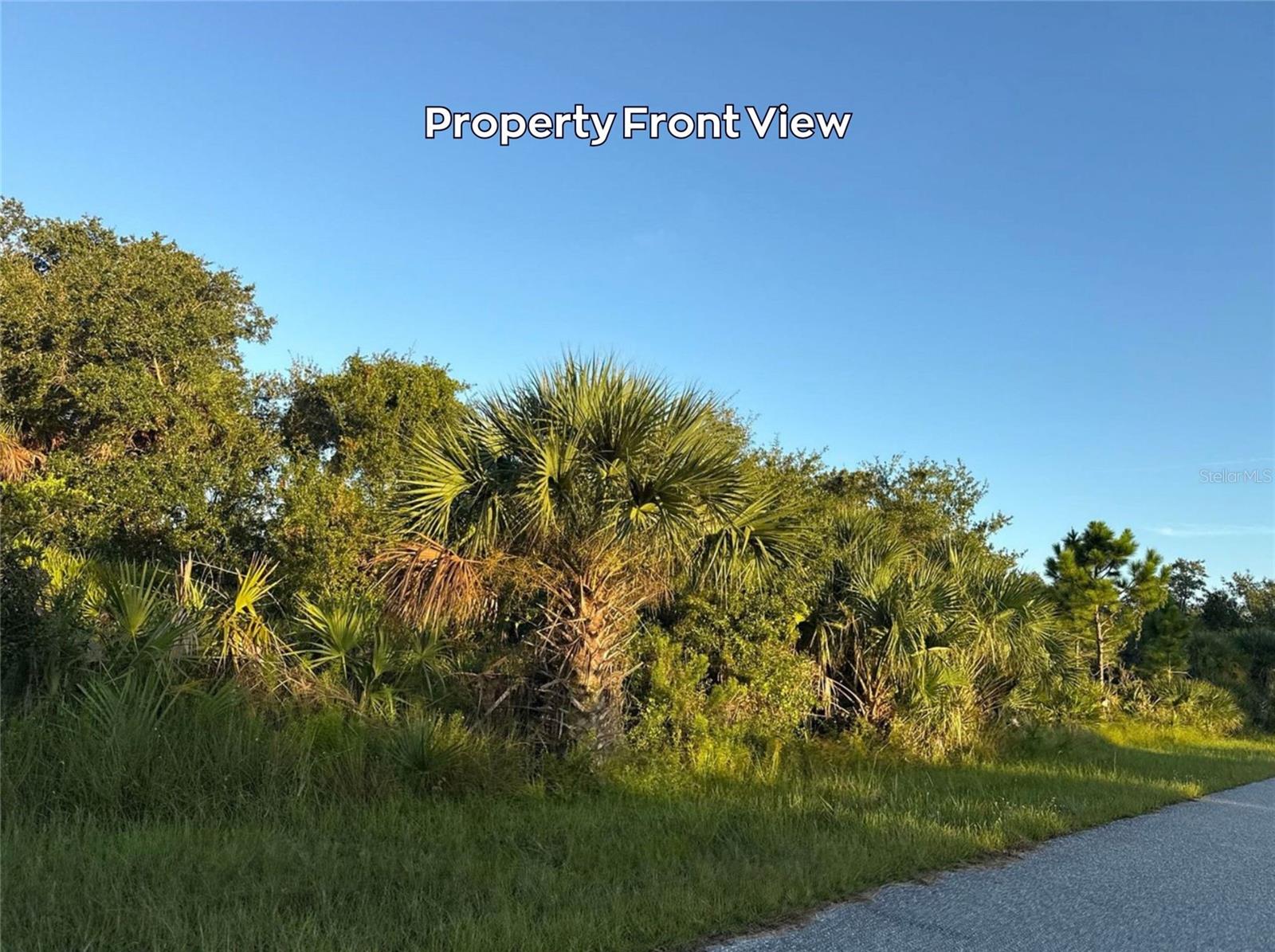 Property photo 4