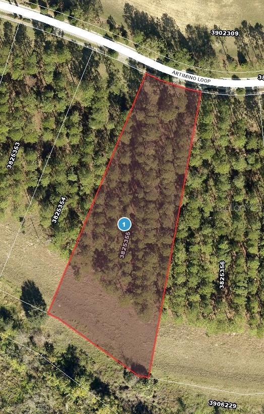 Property photo 4