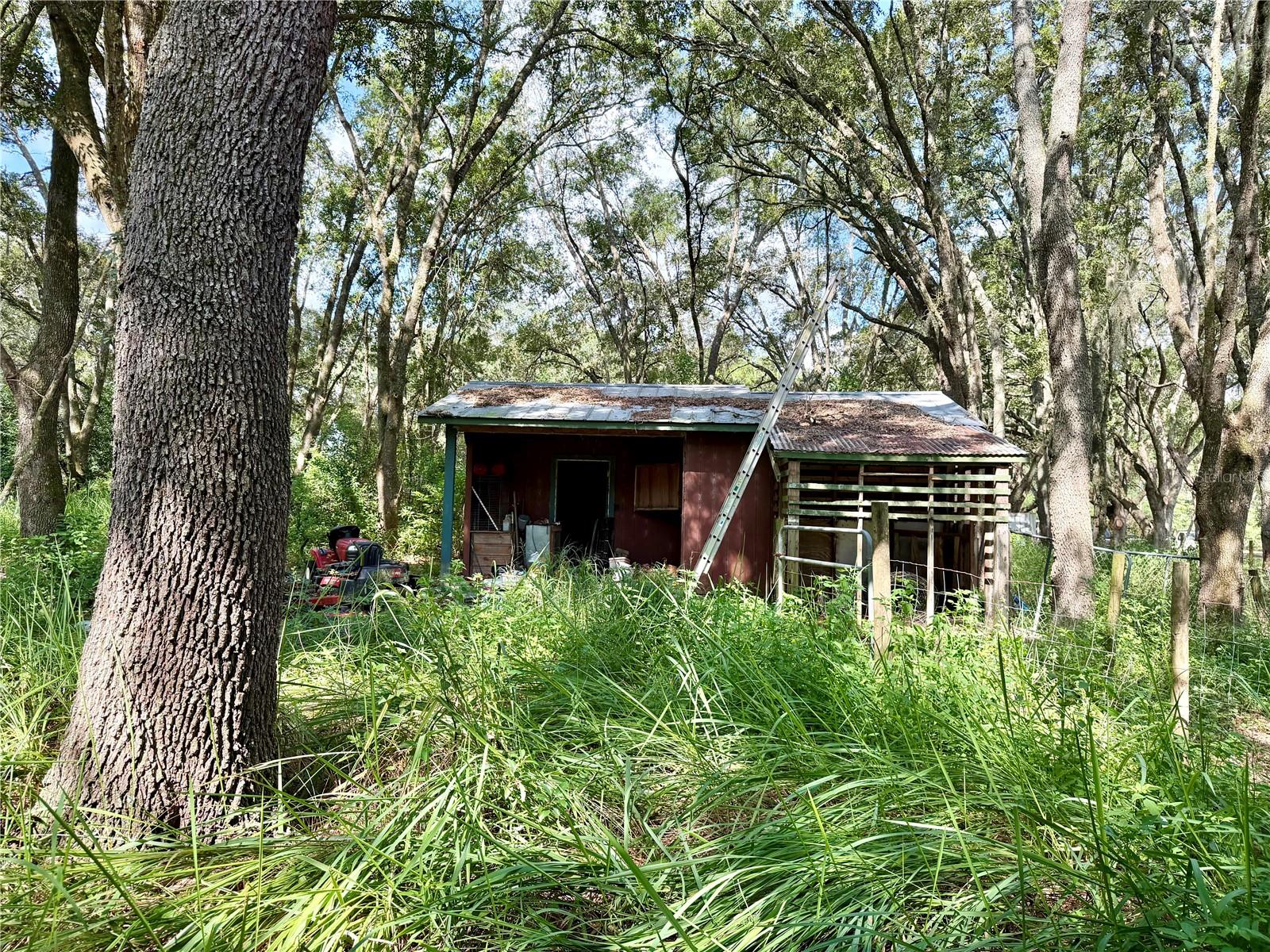 Property photo 5