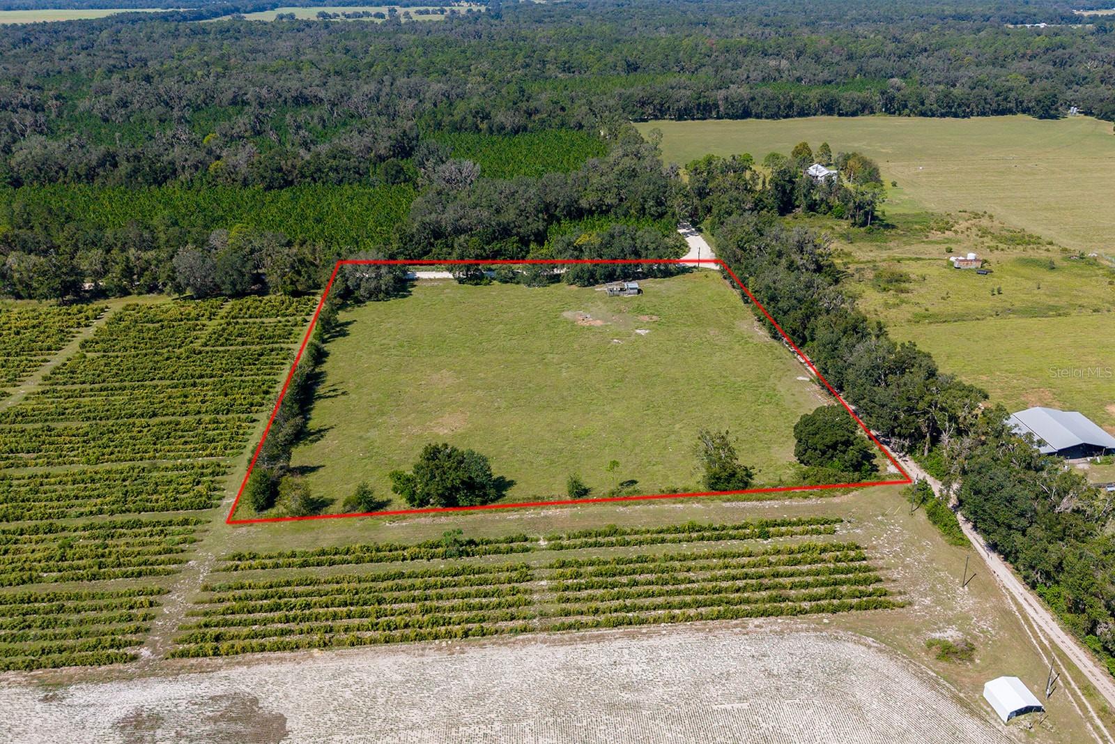 Property photo 4
