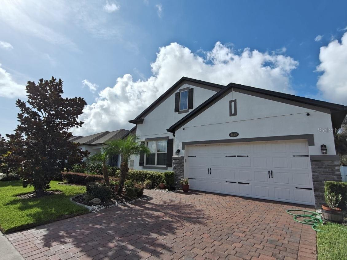 4875 SWEET BLOSSOM CV