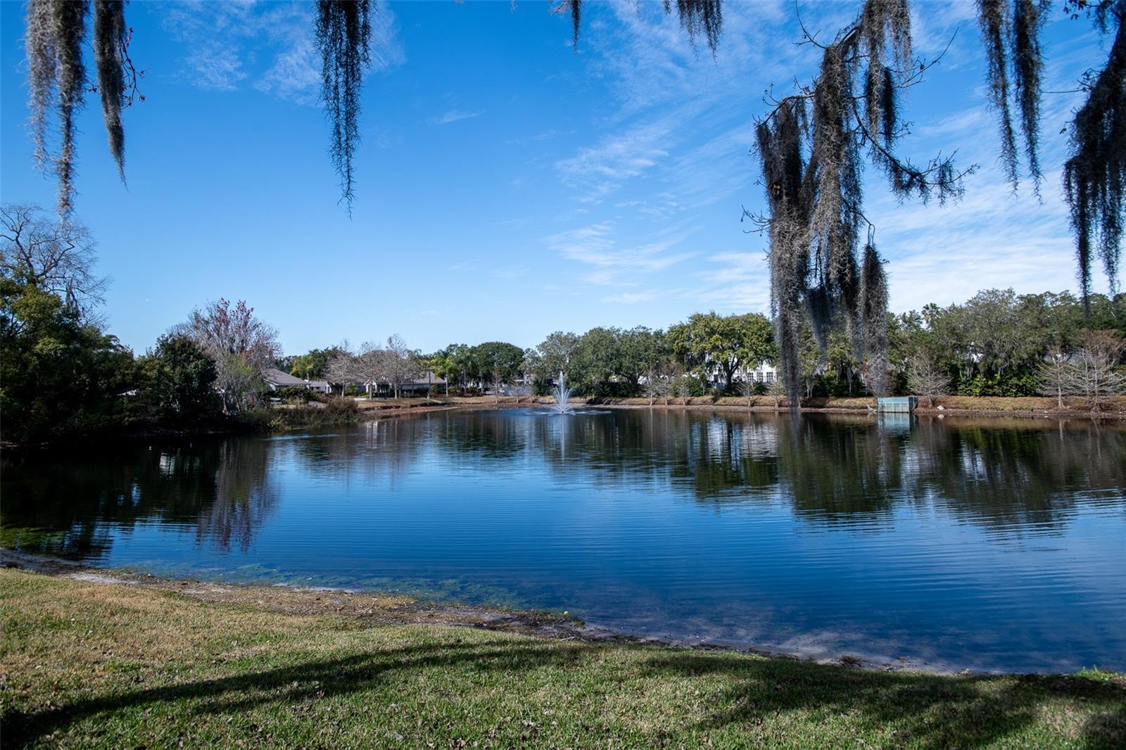 2411 GALLERY VIEW DRIVE ##5