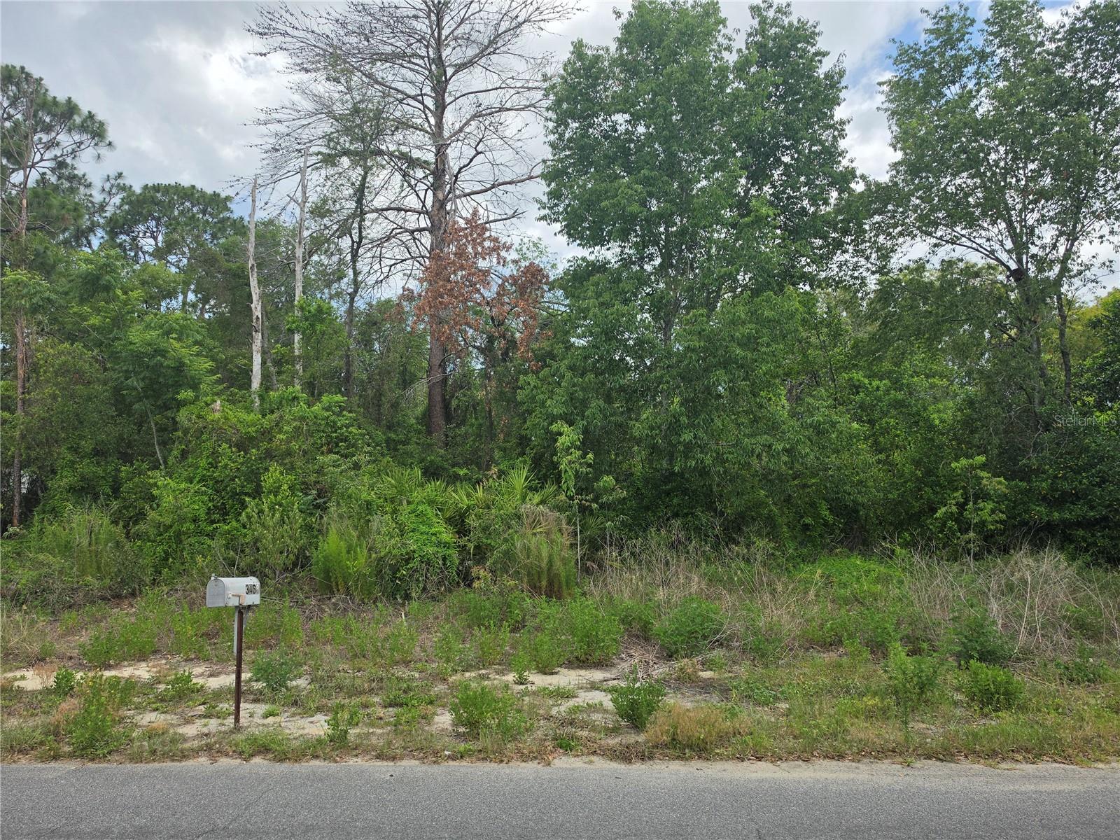 Property photo 3