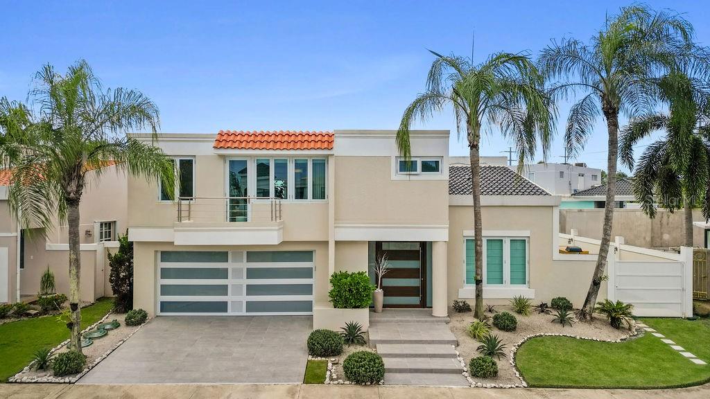 Bizmarkia PALMA REAL