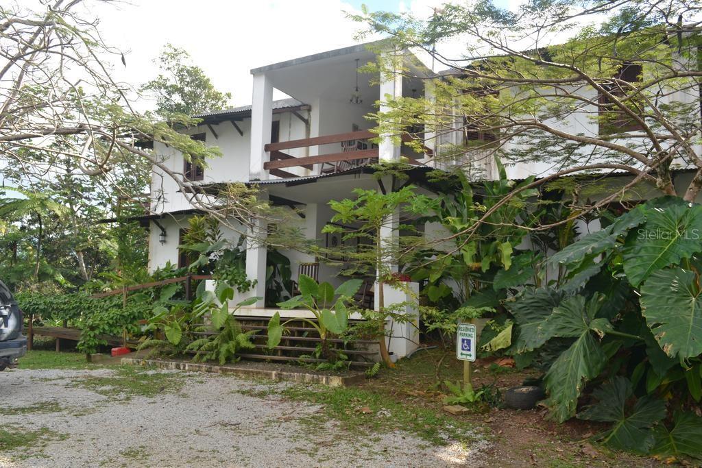 Pitahaya CAMINO LOS POLACOS