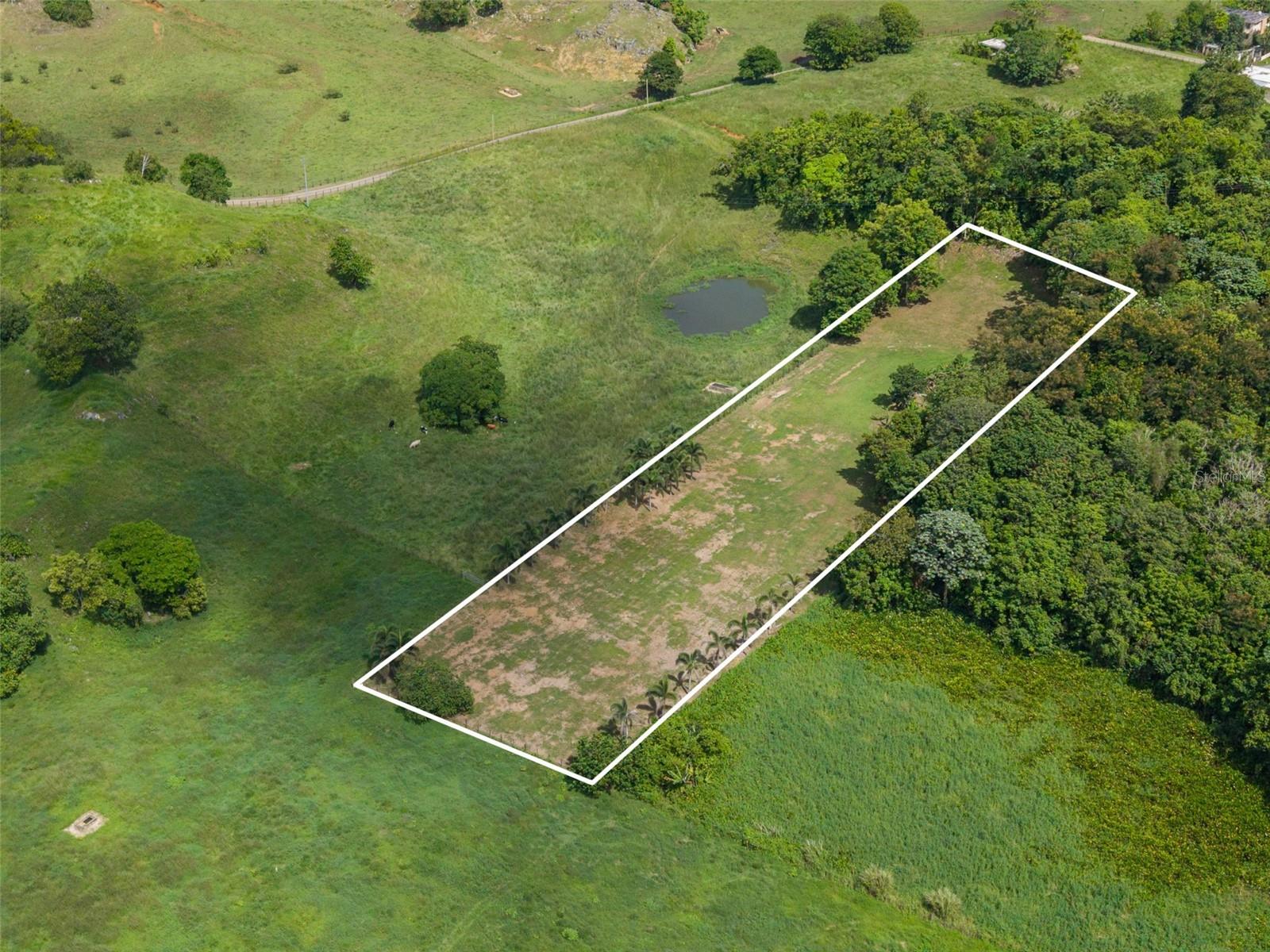 Property photo 4