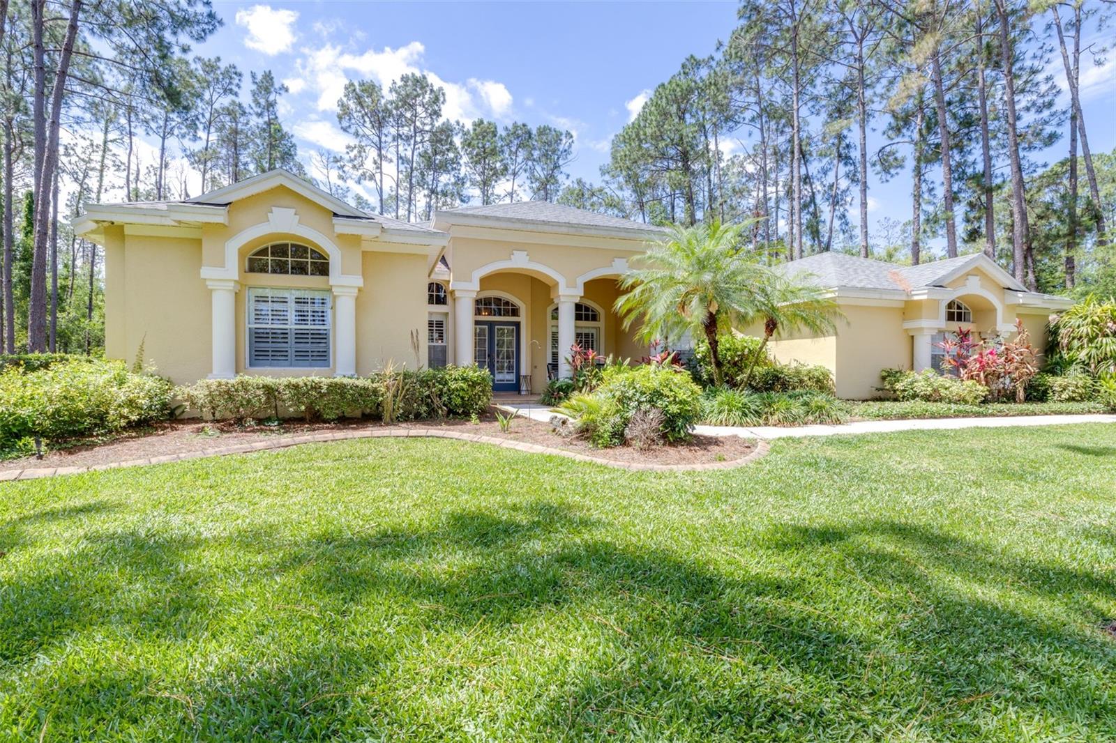 313 PINE BLUFF DR