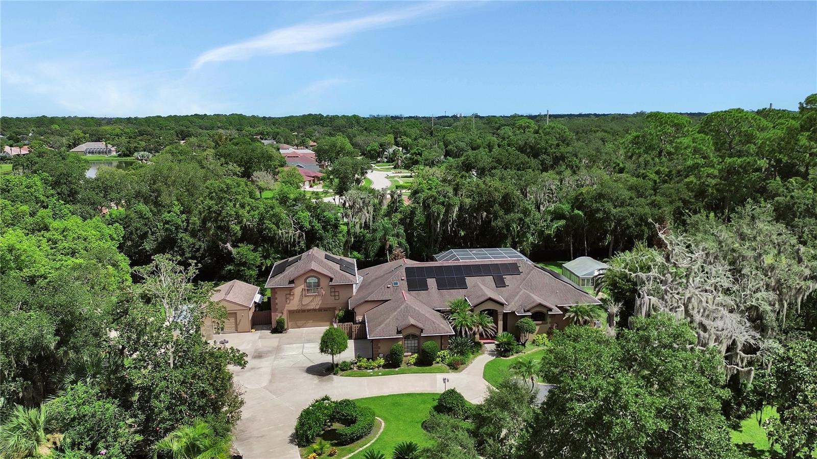 6241 PALOMINO CIR