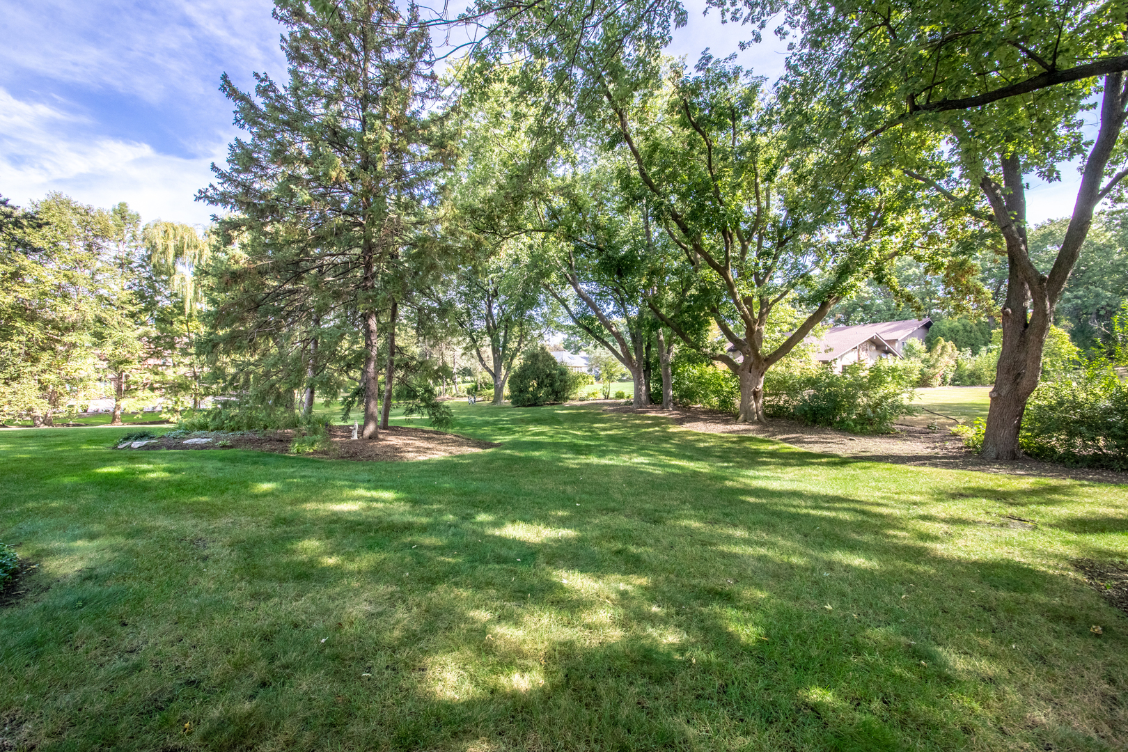 Property photo 49