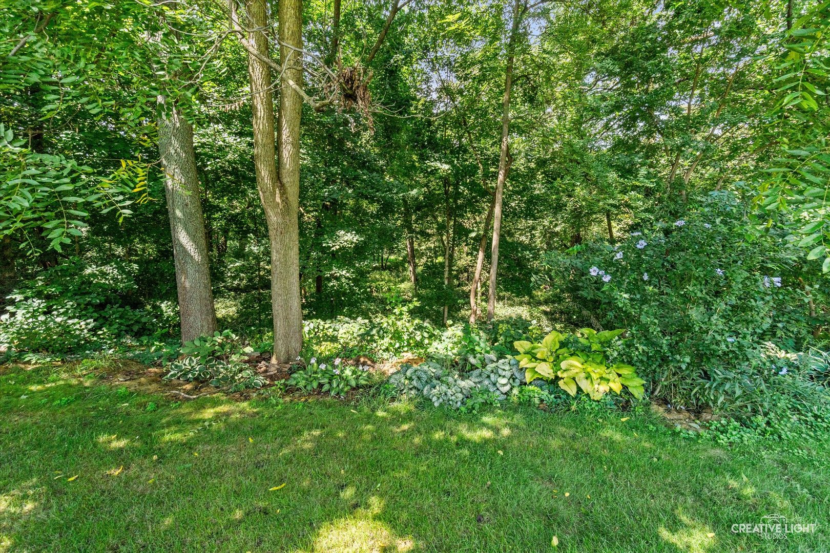 Property photo 31