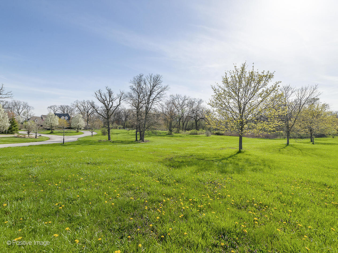 215 Oak Brook Road