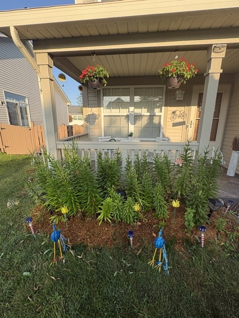Property photo 4