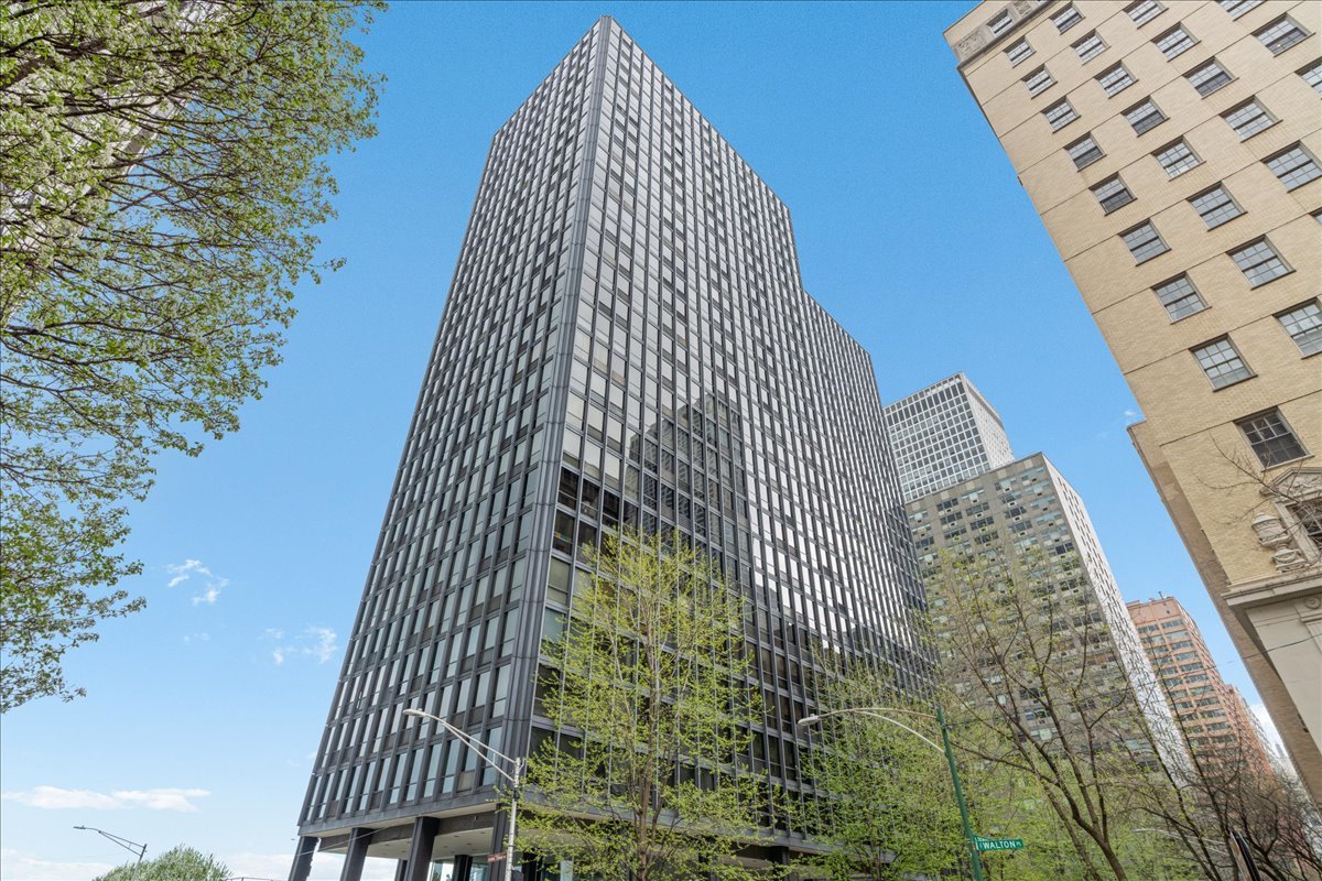910 N Lake Shore Drive Unit: 2820