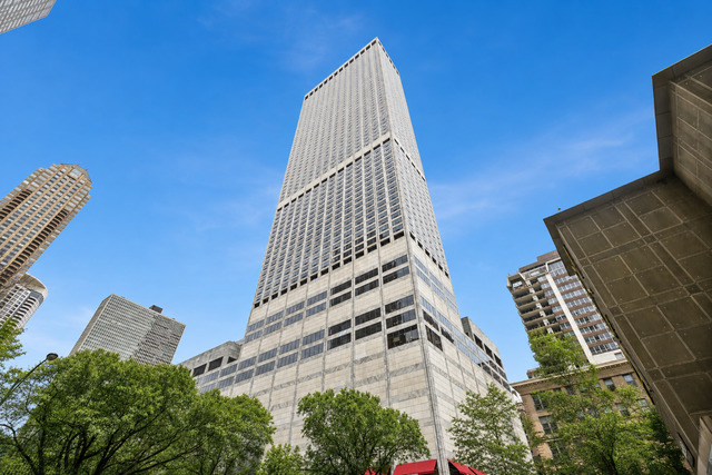 180 E Pearson Street Unit: 4207