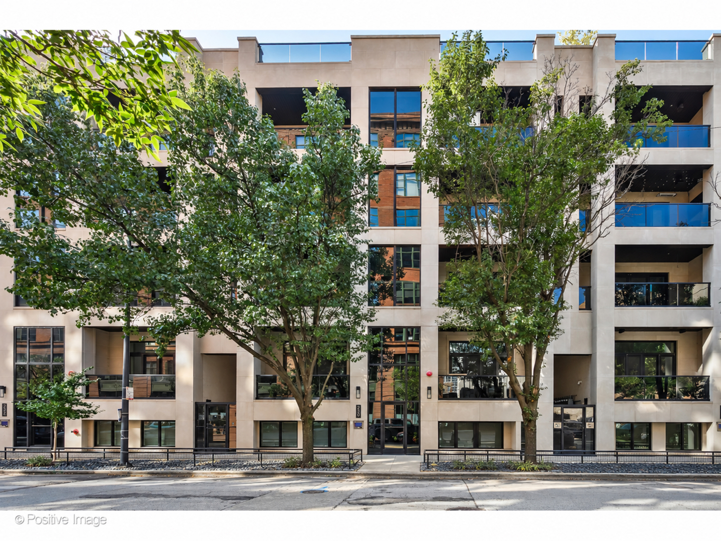 220 S Green Street Unit: 4S