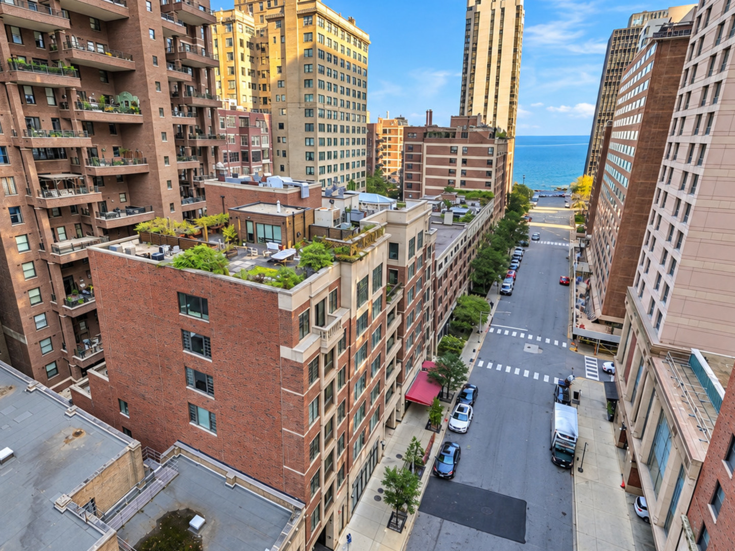 190 E Walton Place Unit 603