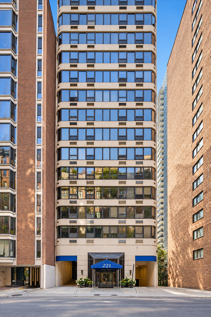 221 E Walton Place Unit 14b