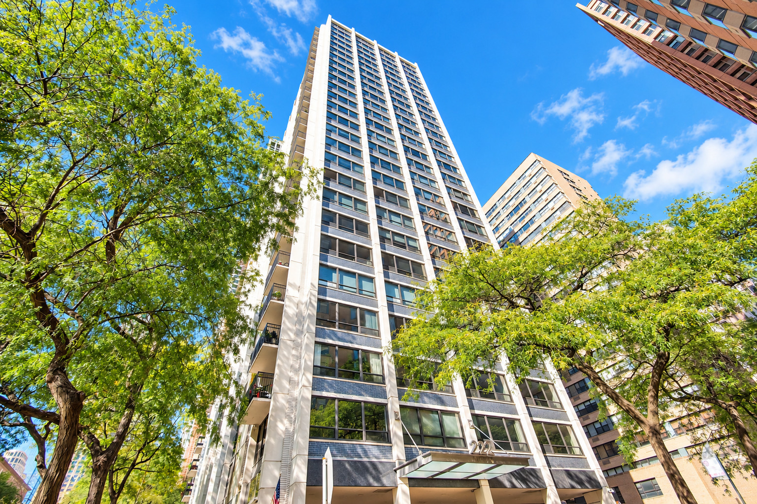 222 E Pearson Street Unit 1704