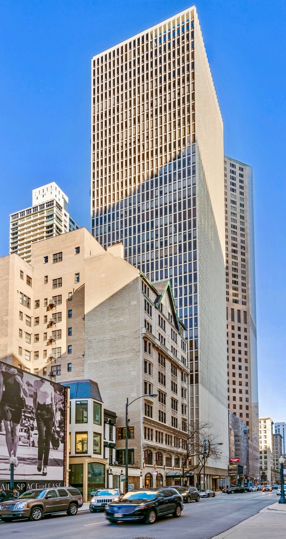 100 E Walton Street Unit: 41DE