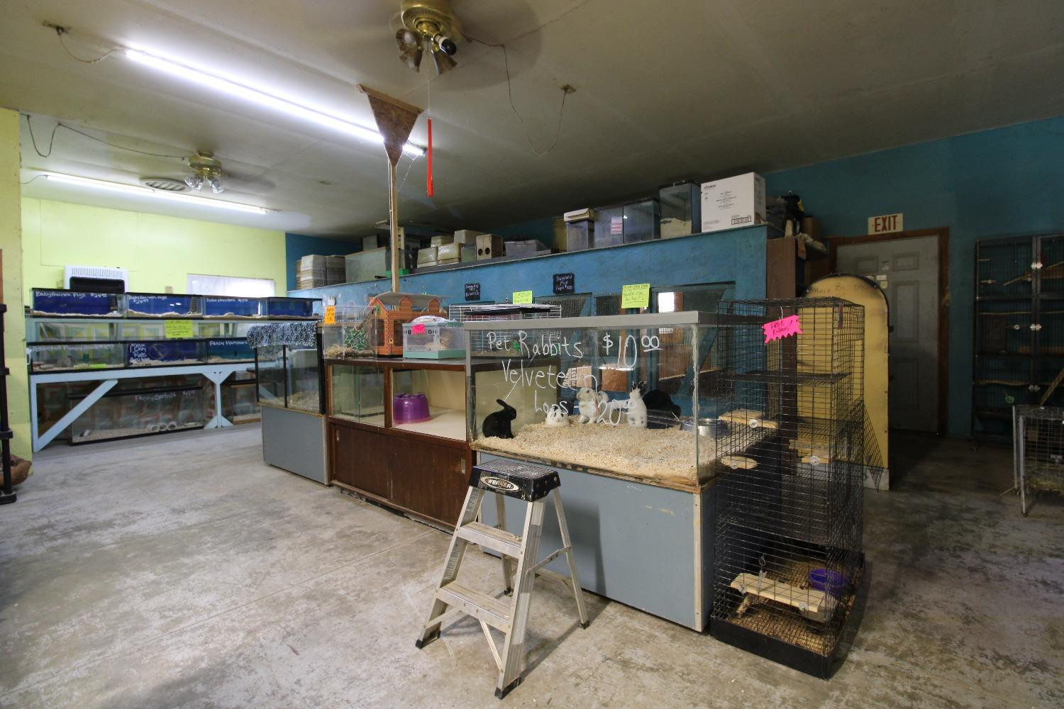 Property photo 5
